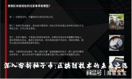 深入分析柚子币：区块链技术的未来之选