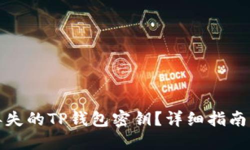 如何找回丢失的TP钱包密钥？详细指南与解决方案