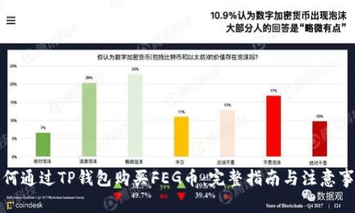 如何通过TP钱包购买FEG币：完整指南与注意事项