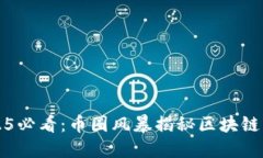 2025必看：币圈风暴揭秘区块链未来