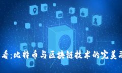 2025必看：比特币与区块链技术的完美融合分析