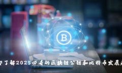 立即了解2025必看的区块链公链和比特币发展趋势