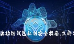 2025必看：TP钱包波场链钱包私钥安全指南，立即