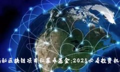 揭秘区块链项目私募币基金：2025必看投资机会