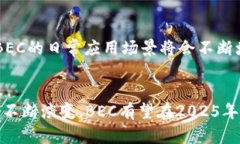 2025必看！2020年BEC美币区块链的蜕变与未来发展美