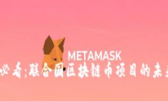 Title: 2025必看：联合国区块链币项目的未来潜力与