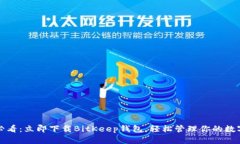 2025必看：立即下载BitKeep钱包，轻松管理你的数字