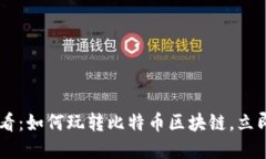 ibaoti2025必看：如何玩转比特币区块链，立即掌握