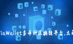 2025必看！全面解析ViaWallet多币种区块链平台，立