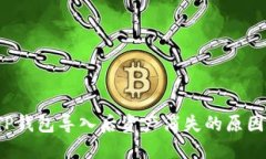 立即解决：TP钱包导入后资产消失的原因及解决方