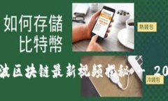 立即观看：刘波区块链最新视频揭秘 - 2025必看内