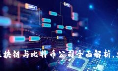 2025必看！国内区块链与比特币公司全面解析，立