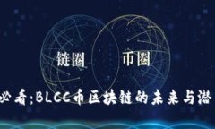 2025必看：BLCC币区块链的未来与潜力分析