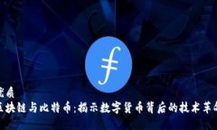 优质区块链与比特币：揭示数字货币背后的技术