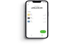 如何下载和使用vivo钱包苹果版：详尽指南与常见